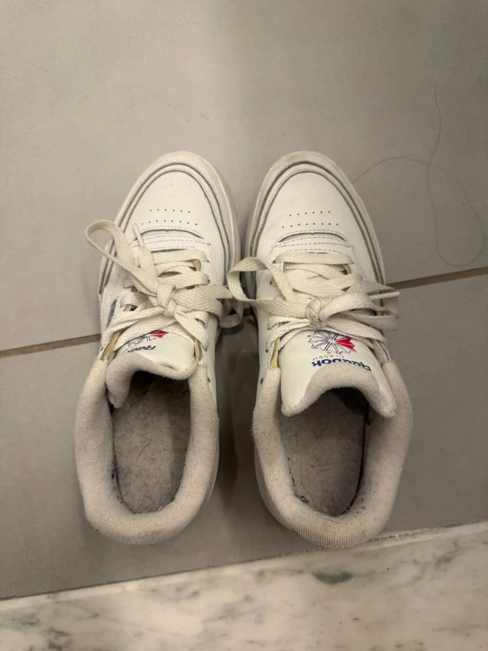 Reebok reebox classics